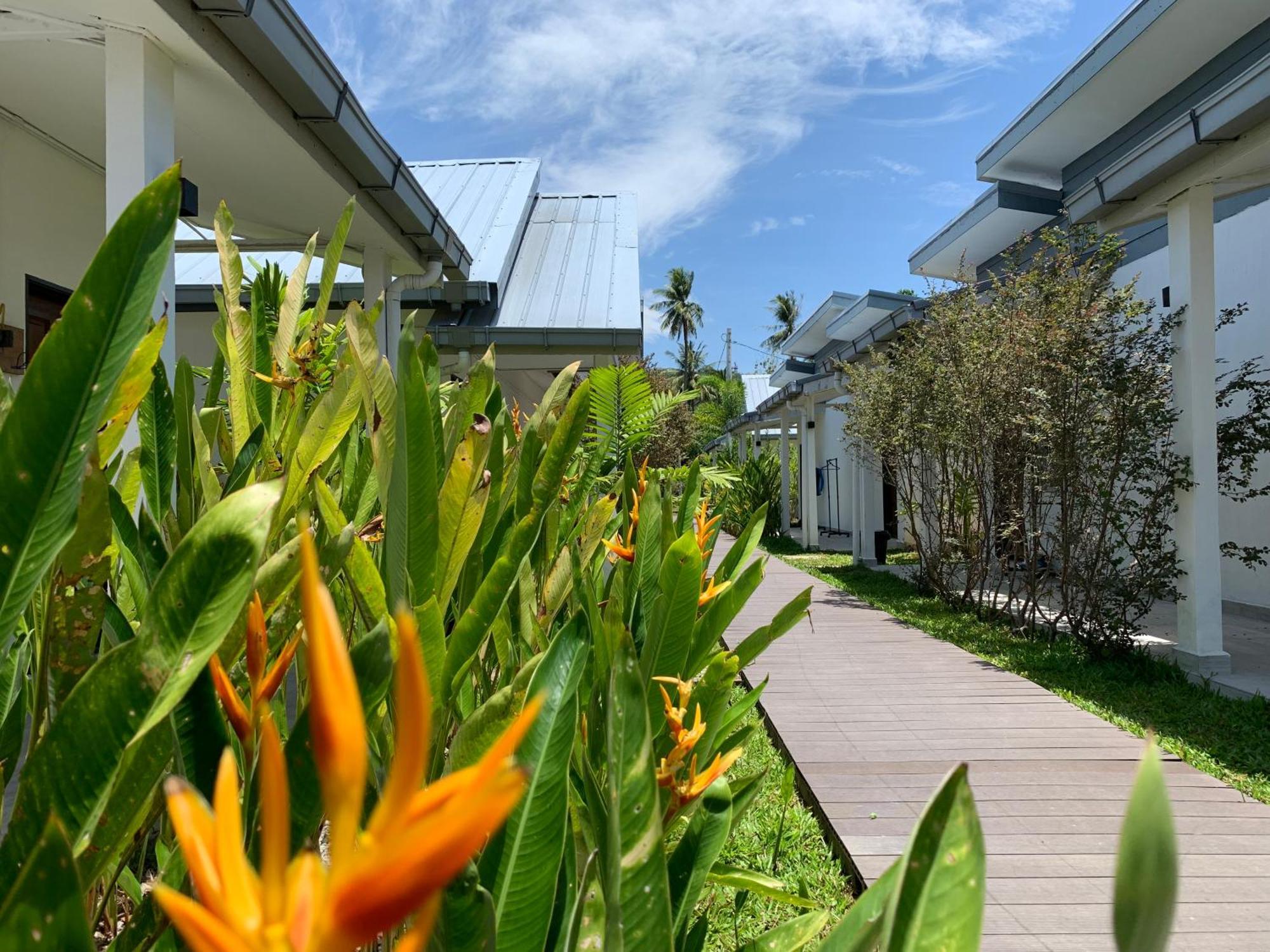 Cloud9 Holiday Cottages Pantai Cenang  Esterno foto