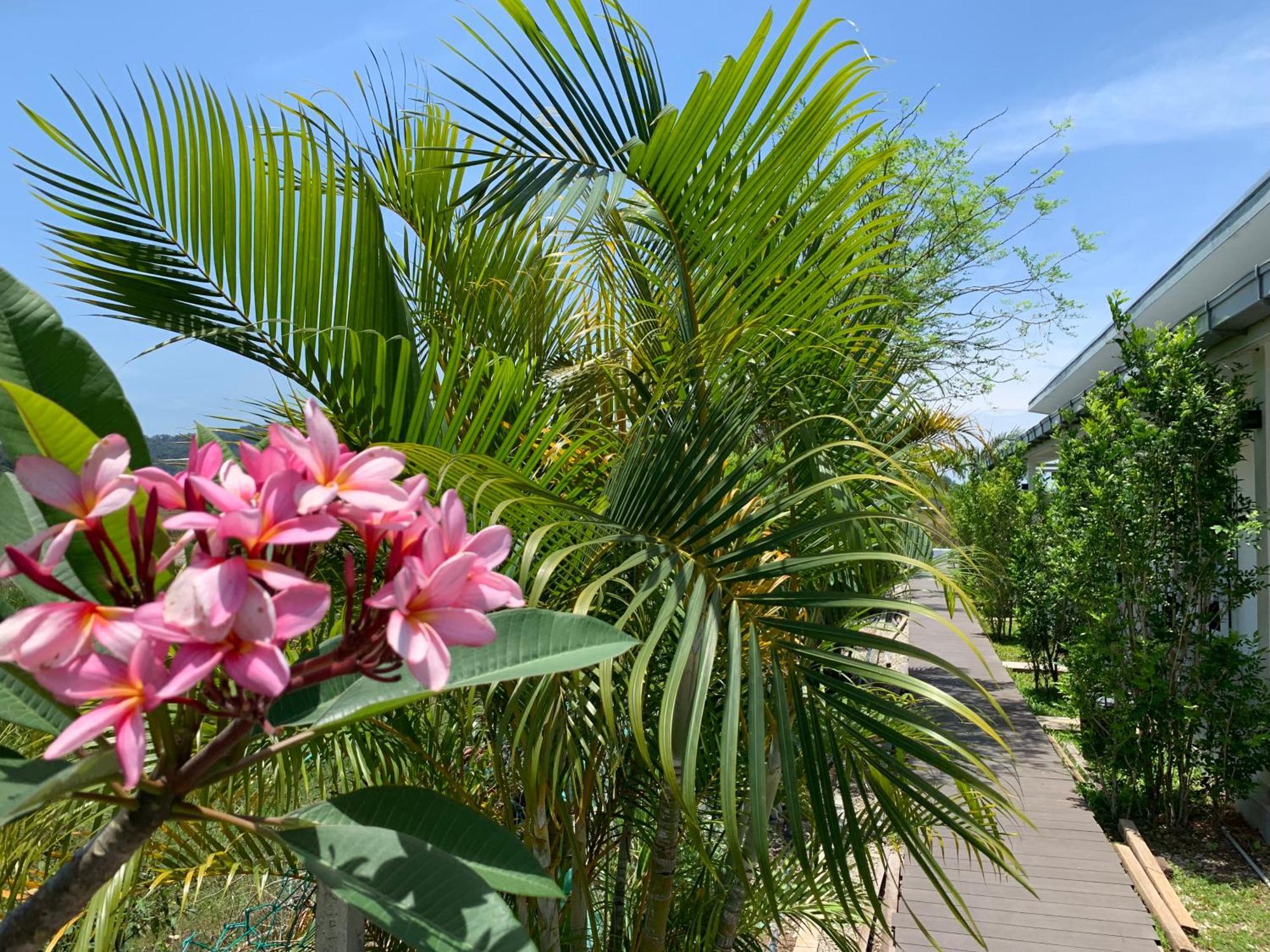 Cloud9 Holiday Cottages Pantai Cenang  Esterno foto