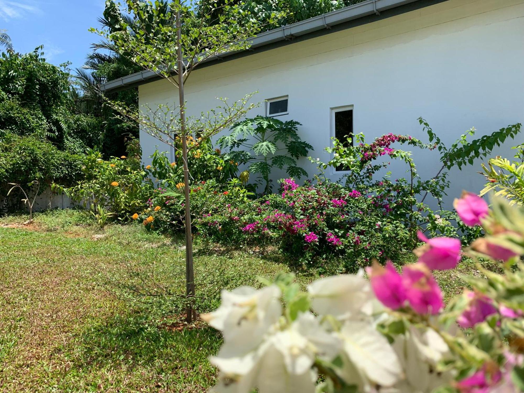 Cloud9 Holiday Cottages Pantai Cenang  Esterno foto