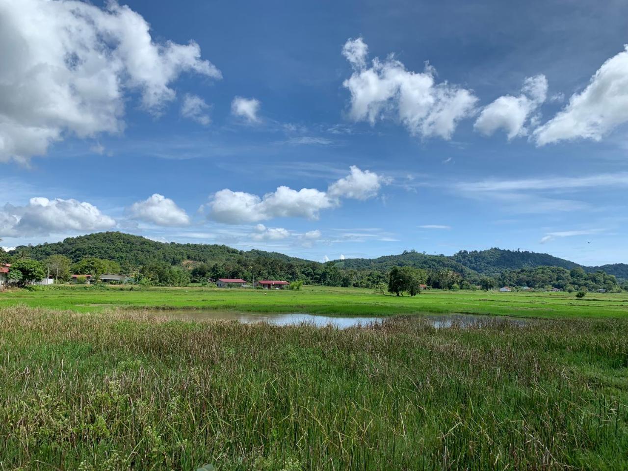 Cloud9 Holiday Cottages Pantai Cenang  Esterno foto